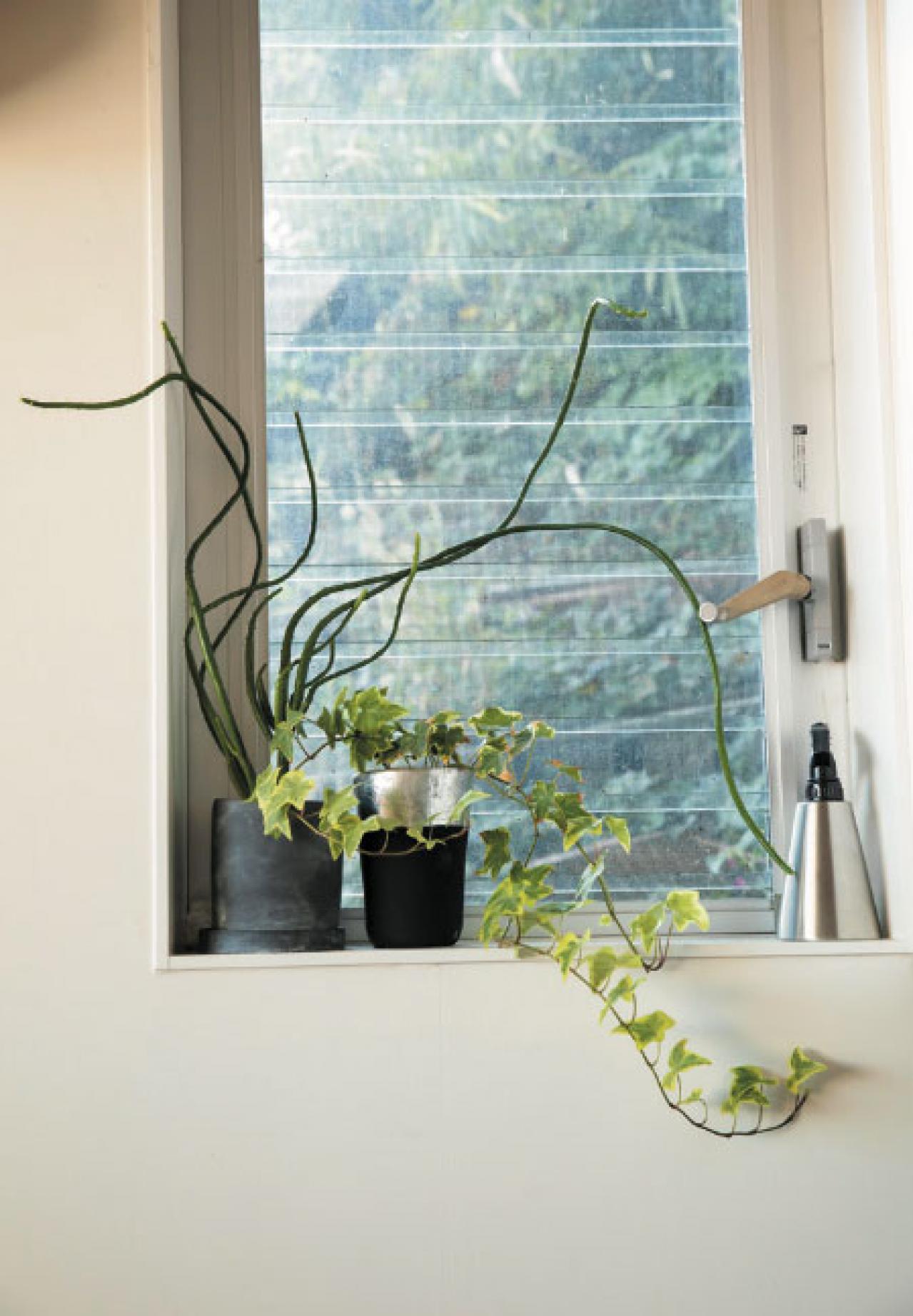 いちばんの節約方法に「暮らし上手な友人も驚くほど！」暮らしのプロが教える家計管理の方法（画像17）