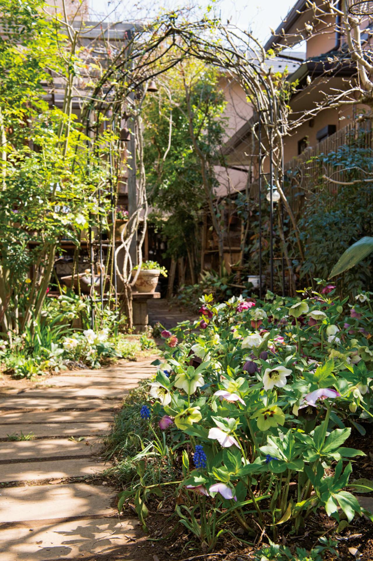 【クリスマスローズの庭実例】白や紫の落ち着いた花色の花壇＆和の植物とクリスマスローズが調和するガーデン【ガーデニング】（画像2）