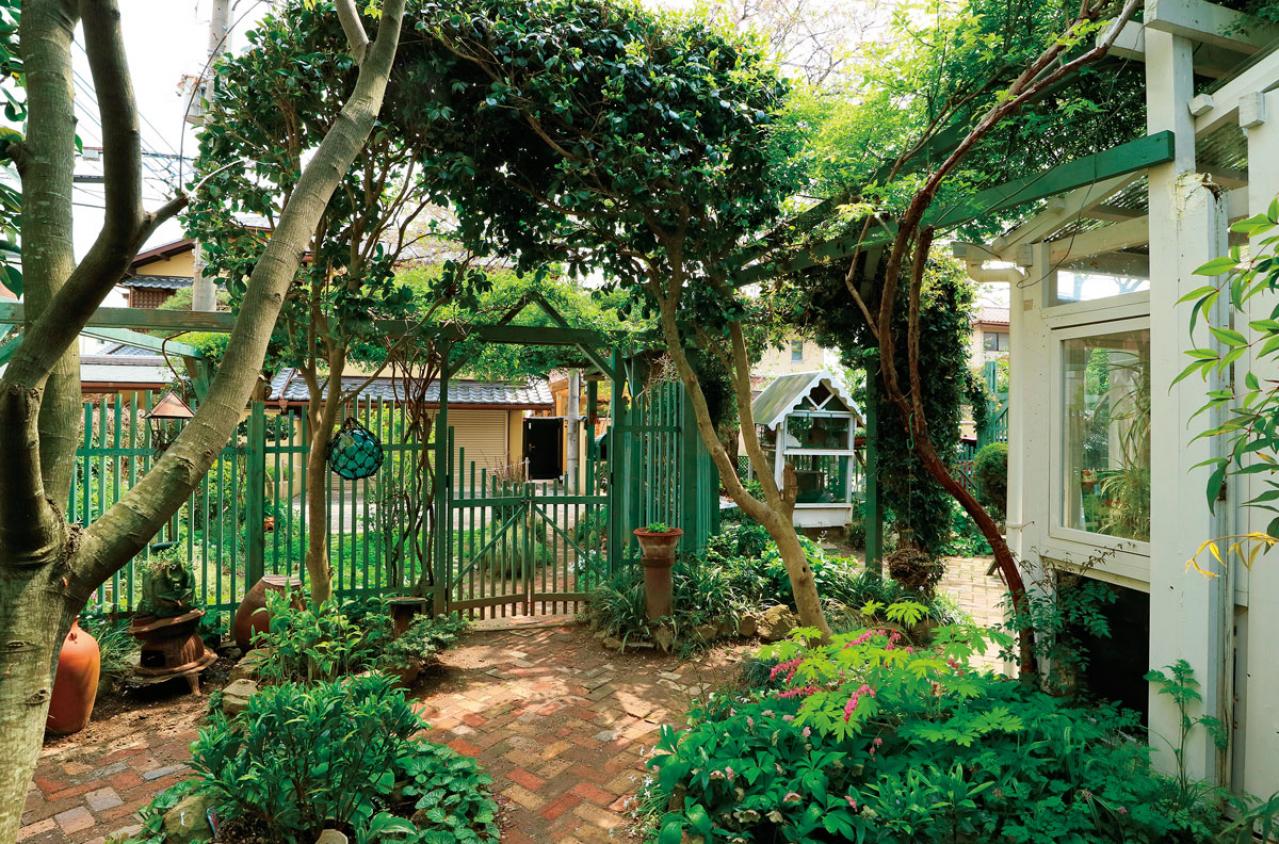 【実例】クリスマスローズ愛好家の庭Part２｜白や紫の落ち着いた花色の花壇＆和の植物とクリスマスローズが心地よく（画像13）