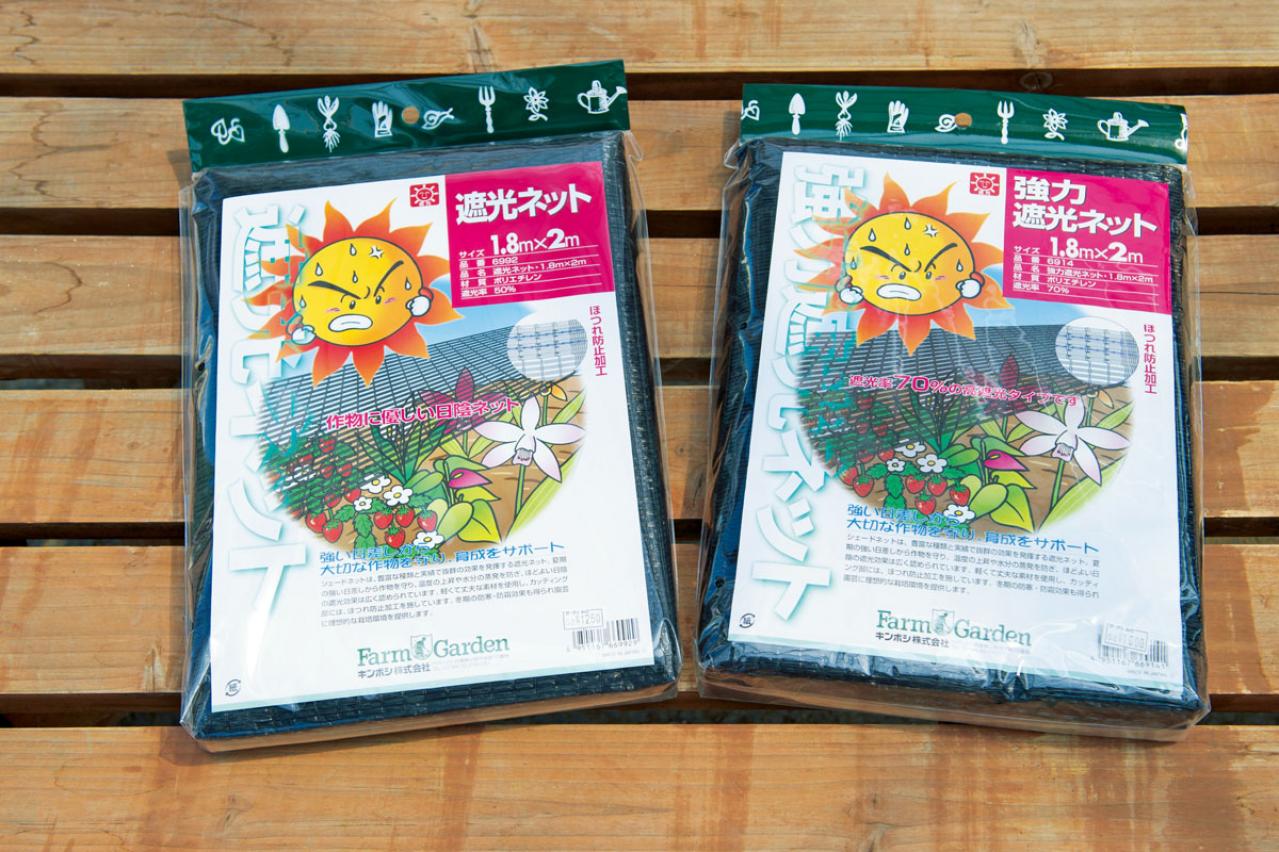 クリスマスローズの苗を購入する前に必見！　園芸店のスーパーバイヤーに教わる【苗の選び方】と【土と鉢の準備】の基礎知識（画像10）