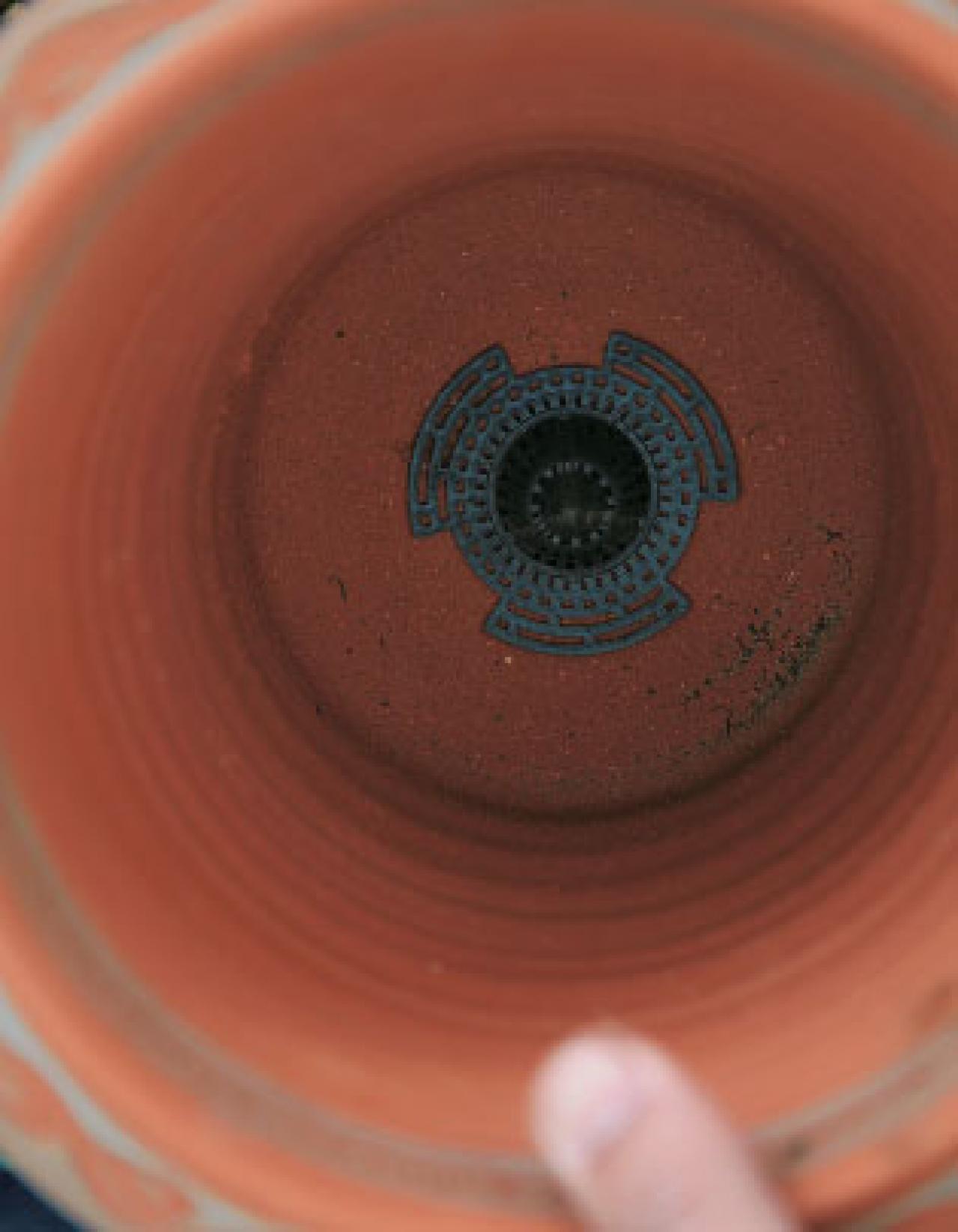 【クリスマスローズの植えつけ・鉢植え】初心者必見！ プロセス写真入り【画像19枚】（画像8）