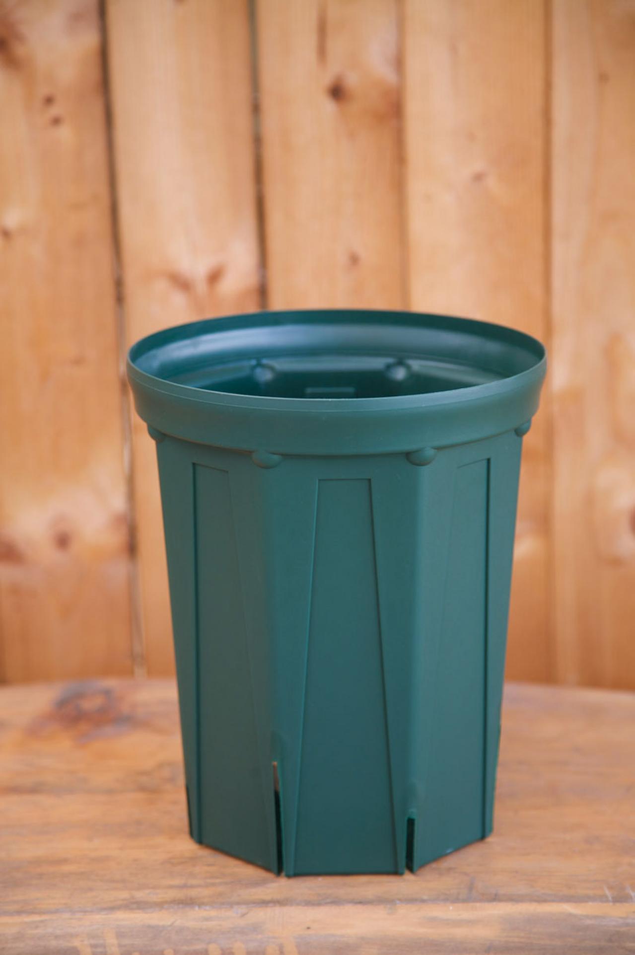 クリスマスローズの苗を購入する前に必見！　園芸店のスーパーバイヤーに教わる【苗の選び方】と【土と鉢の準備】の基礎知識（画像4）