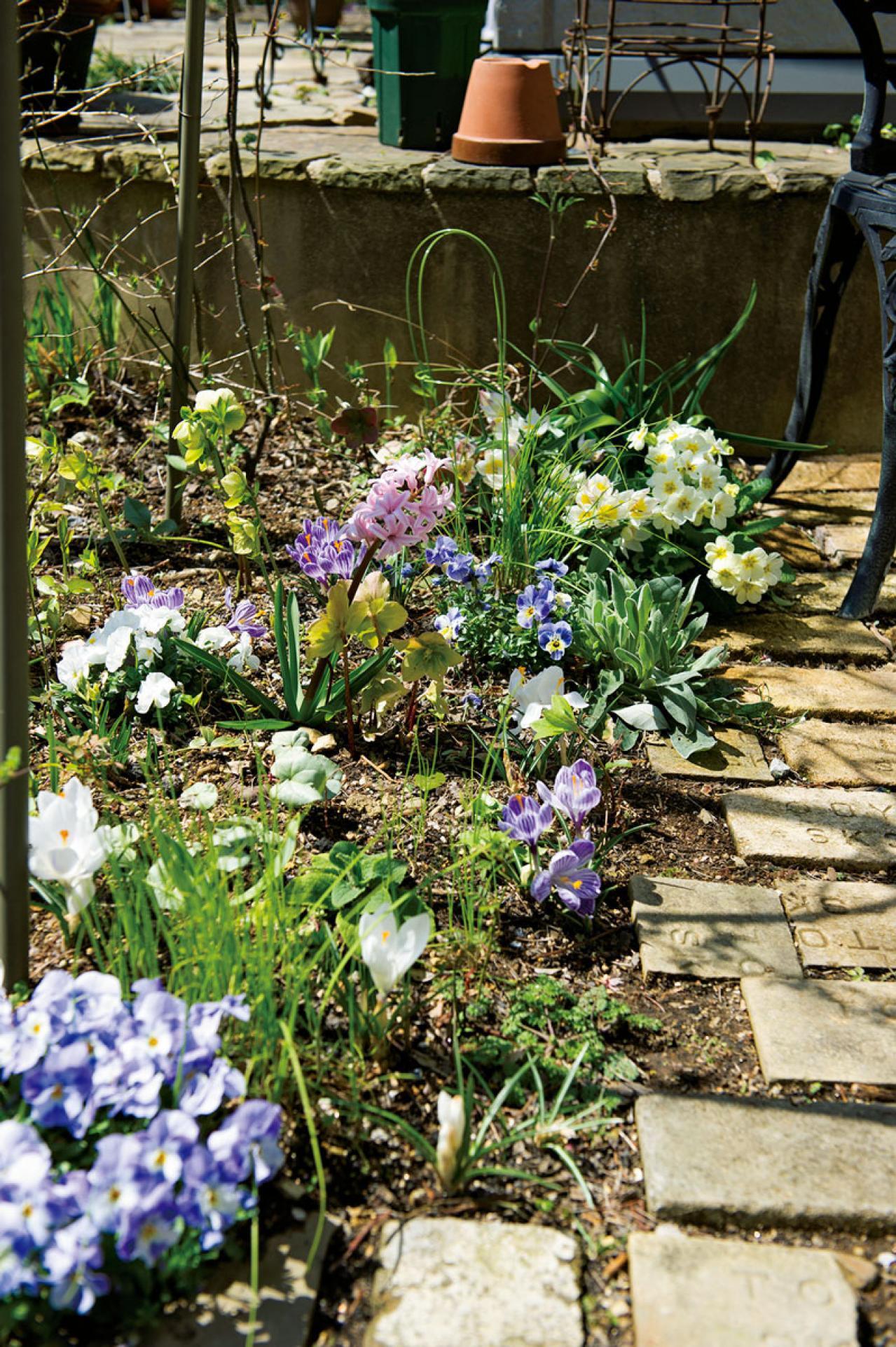 【クリスマスローズの庭実例】季節ごとに様々な植物が顔を出すガーデン＆有名ナーセリーの名花をコレクション（画像5）