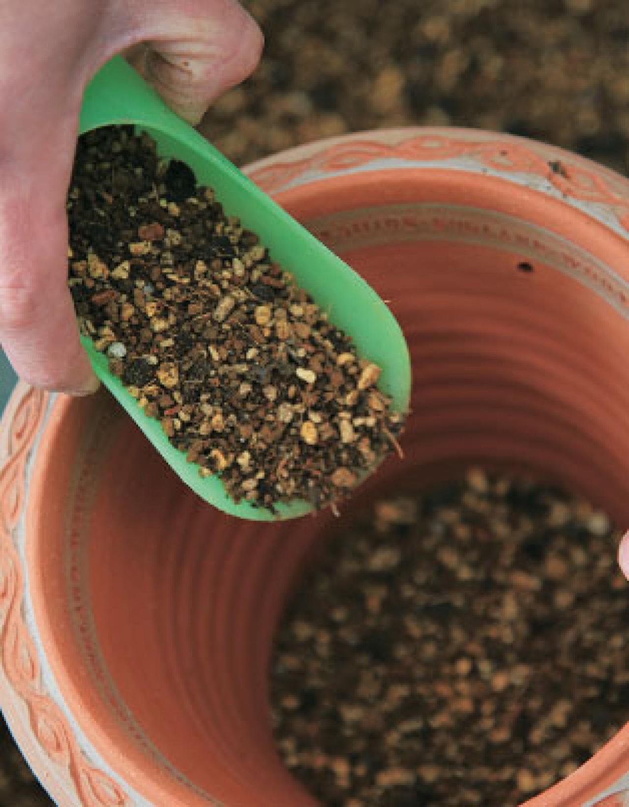 【クリスマスローズの植えつけ・鉢植え】初心者必見！ プロセス写真入り【画像19枚】（画像9）