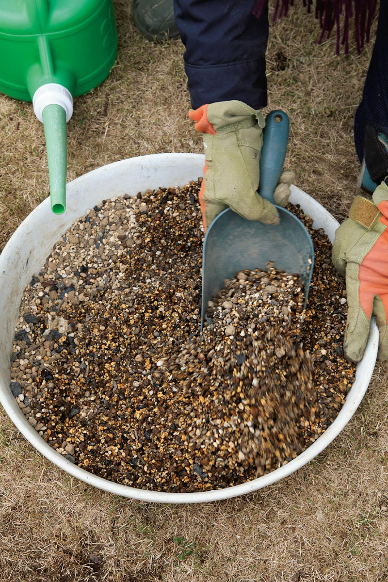 【写真で詳しく解説】プロに教わるクリスマスローズ育て。今年は「小さい苗から始めて、大株作り」を目指す！（画像11）