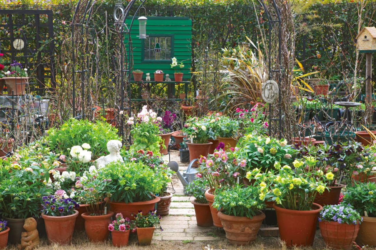 【クリスマスローズの庭実例】園芸ソムリエが伝授！鉢植えで楽しむガーデンと鉢の栽培方法【ガーデニング】