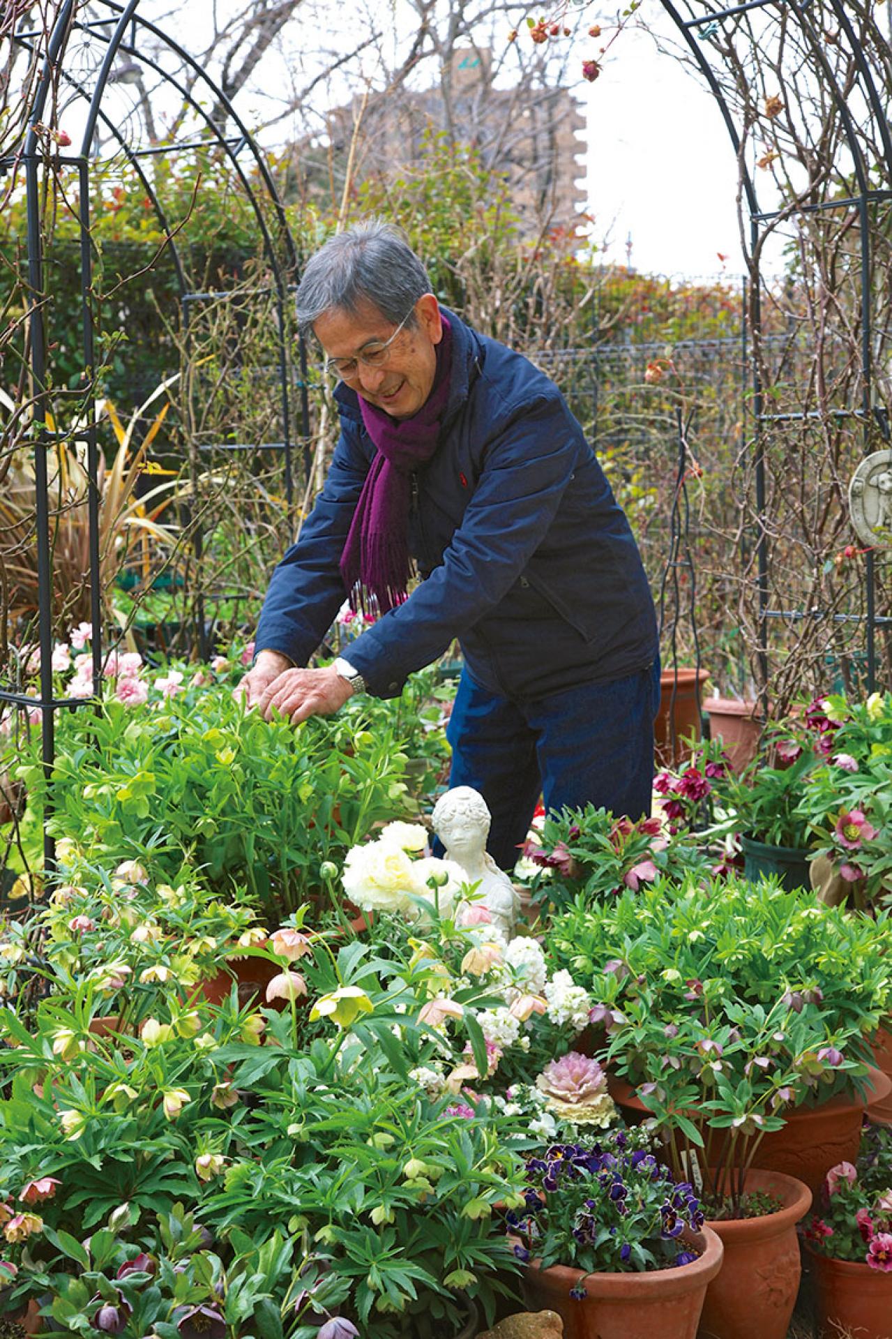 【クリスマスローズの庭実例】園芸ソムリエが伝授！鉢植えで楽しむガーデンと鉢の栽培方法【ガーデニング】（画像2）