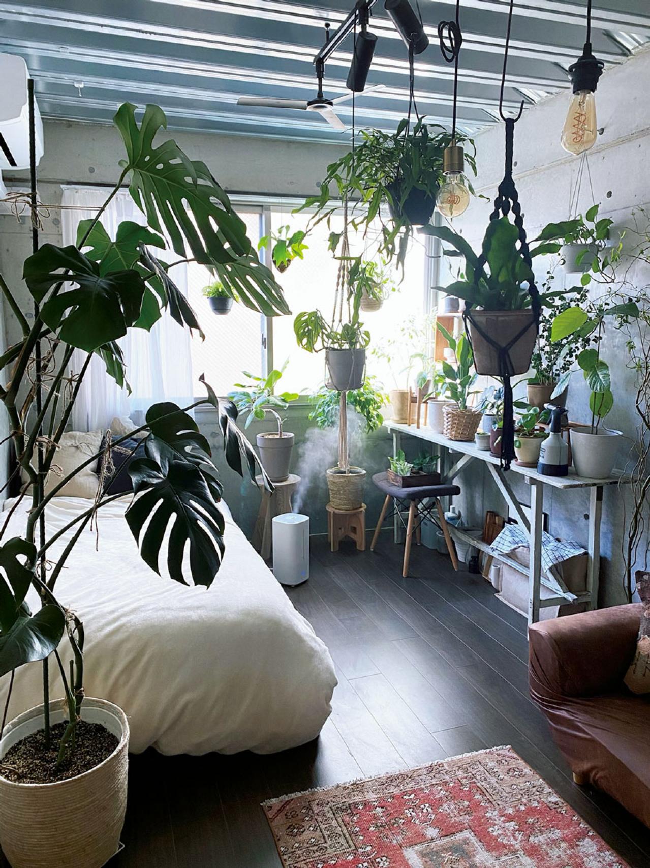 観葉植物のインテリア実例　古民家のような部屋＆コンクリート打ちっぱなしの壁（画像9）