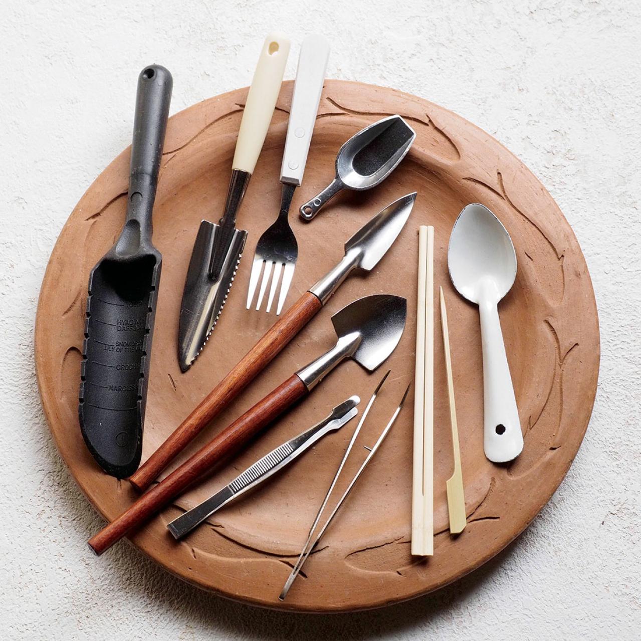 ミニ観葉植物の育て方まるわかりガイド。鉢の選び方からお手入れまで（画像18）