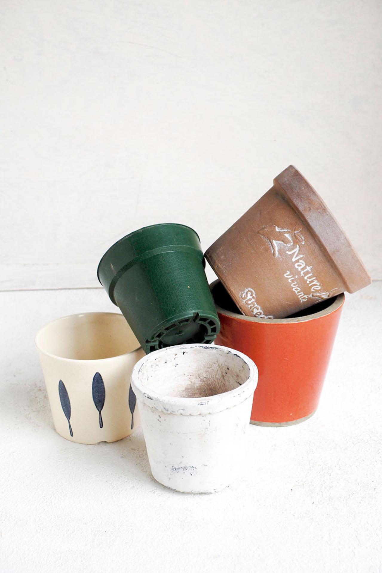 ミニ観葉植物の育て方まるわかりガイド。鉢の選び方からお手入れまで（画像2）