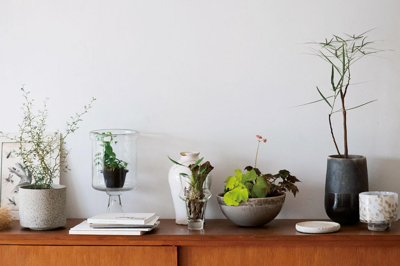 グリーンで部屋がおしゃれに見えるテクニック5  プロが伝授【観葉植物】（画像2）