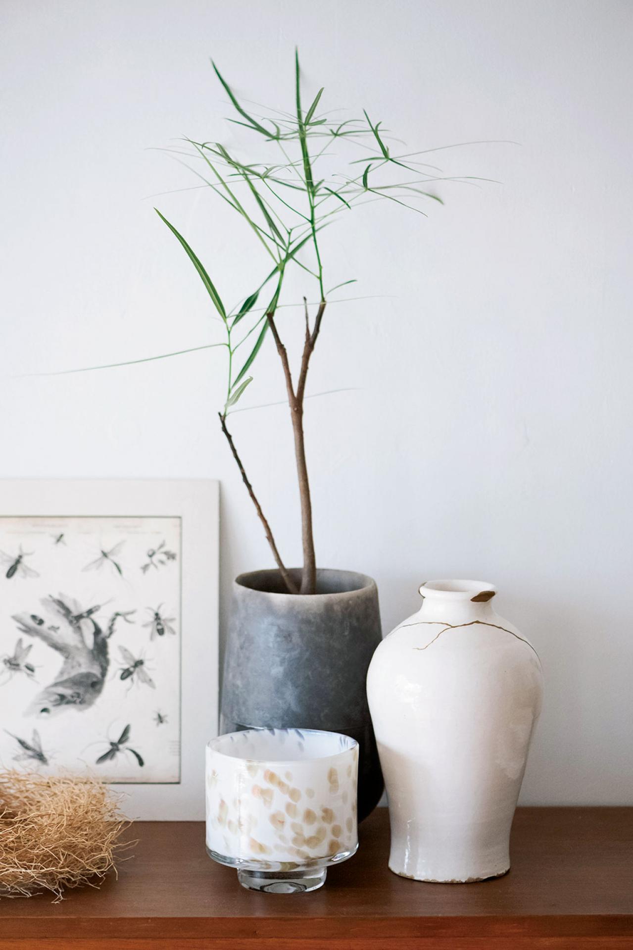 初めての私にもできそう！　プロが伝授　インドアグリーンのある心地いい空間のつくり方【観葉植物】（画像8）