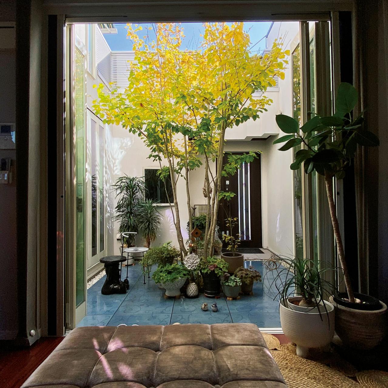 観葉植物のインテリア実例　ハンギングと床置きの絶妙バランス&和モダンな空間（画像3）