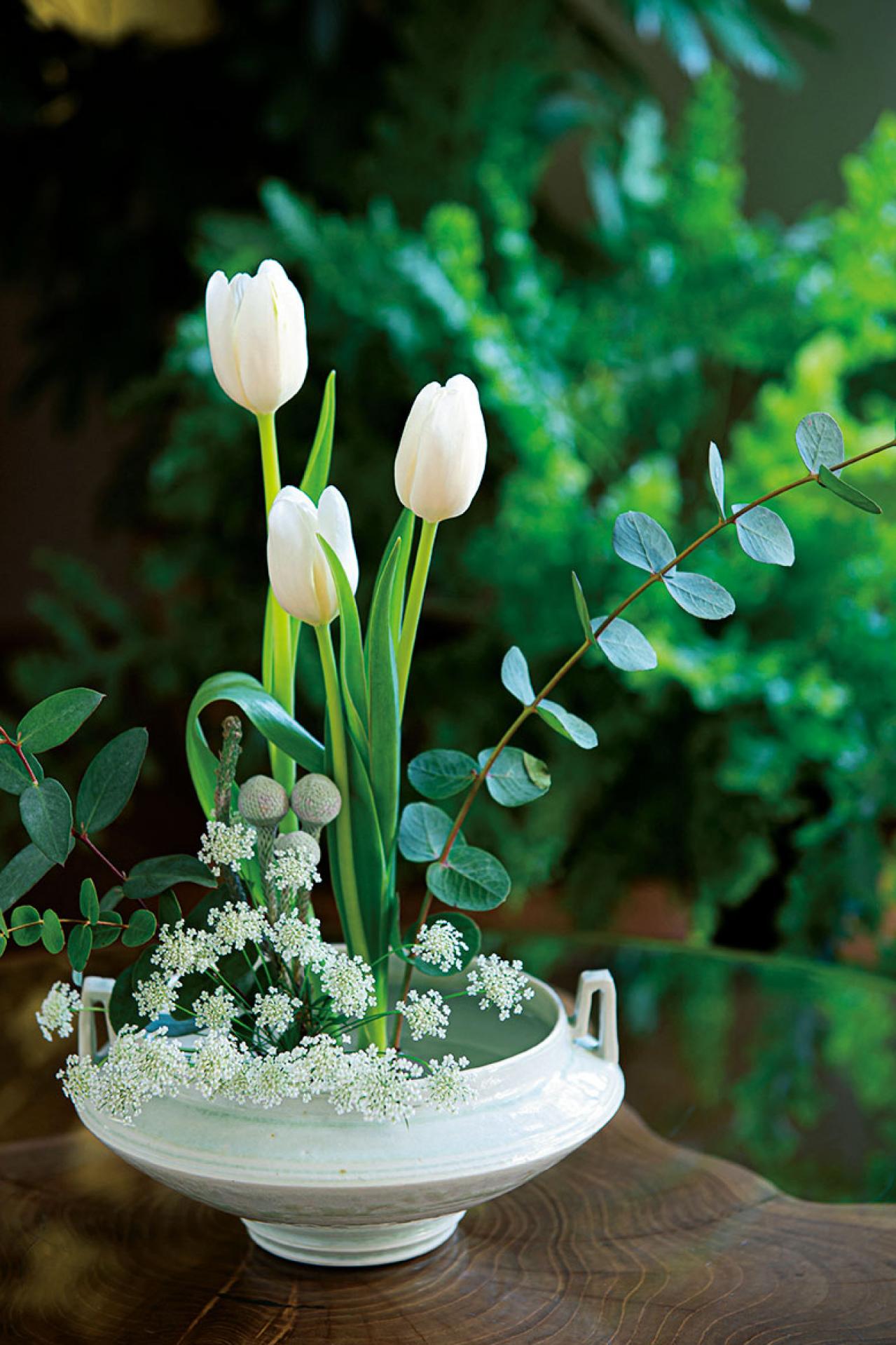 観葉植物のインテリア実例　ガジュマルの木の下でのんびり読書。「家の中だということを忘れてしまいそう」（画像3）