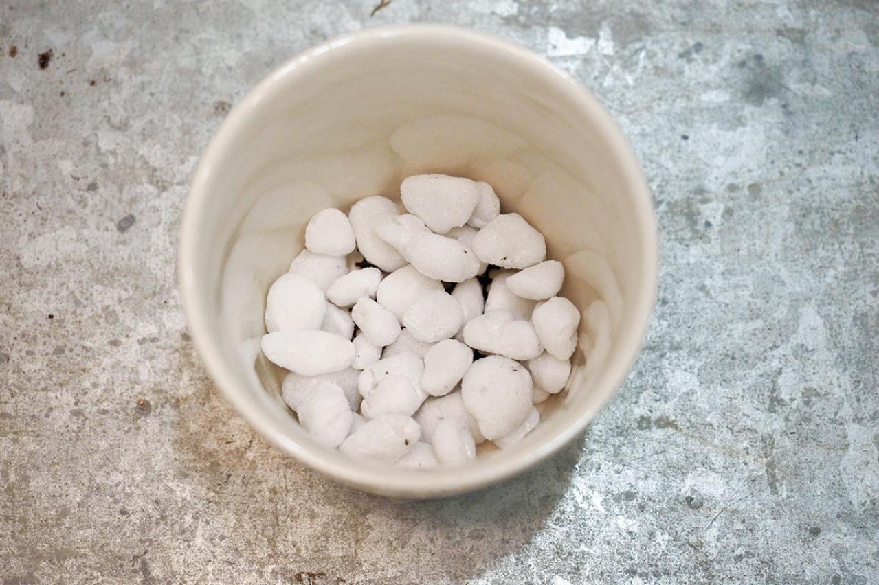 ミニ観葉植物の育て方まるわかりガイド。鉢の選び方からお手入れまで（画像12）