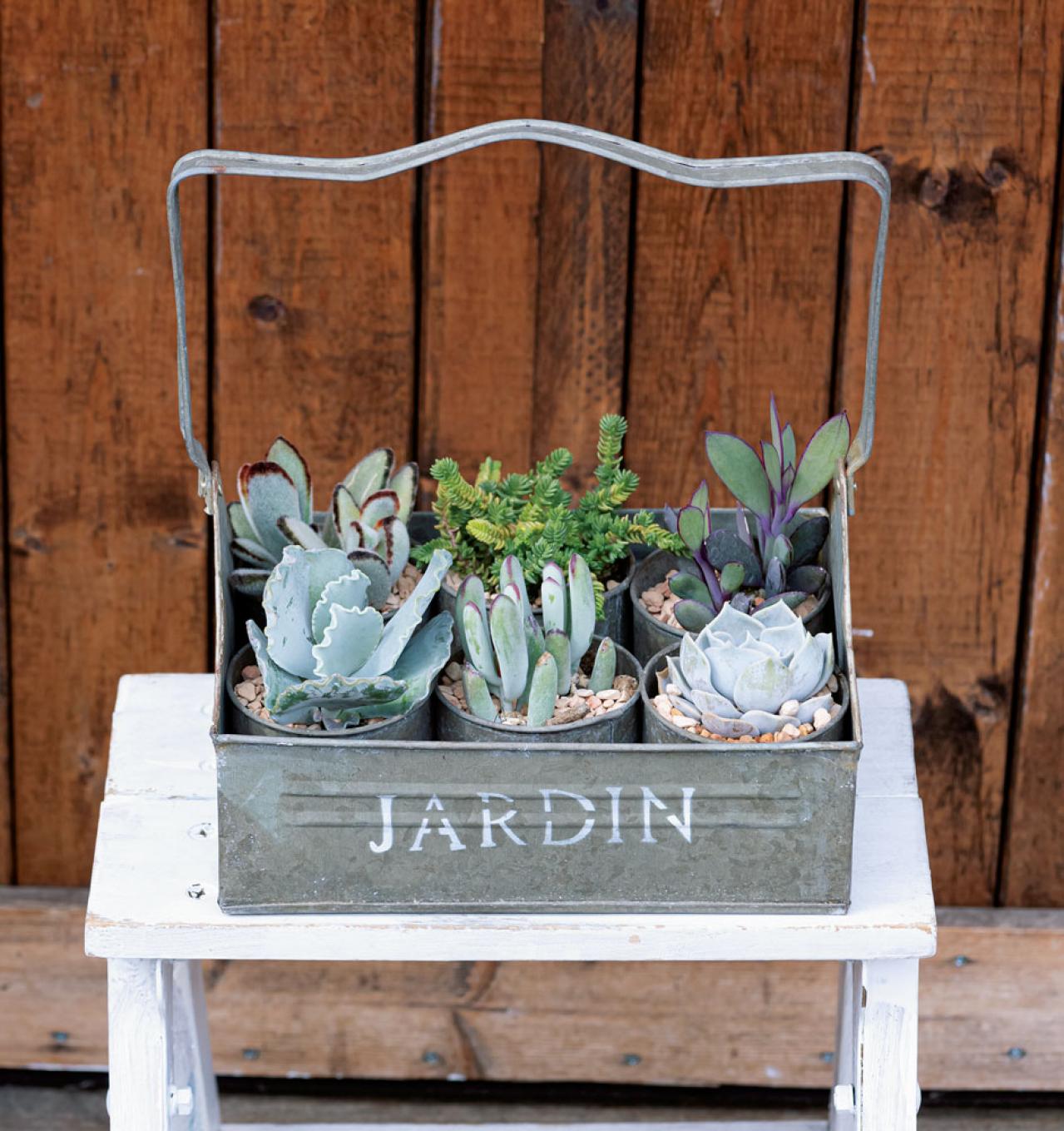 おしゃれなインドアグリーンに！【多肉植物＆サボテン＋雑貨】のアレンジ５　（画像8）