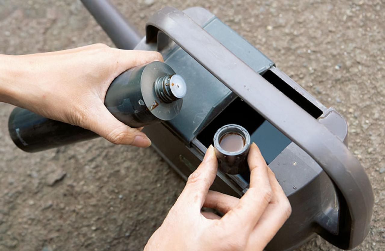 中型&大型観葉植物の育て方。置き場所、水やり、肥料、植えかえ、鉢の大きさは？（画像4）