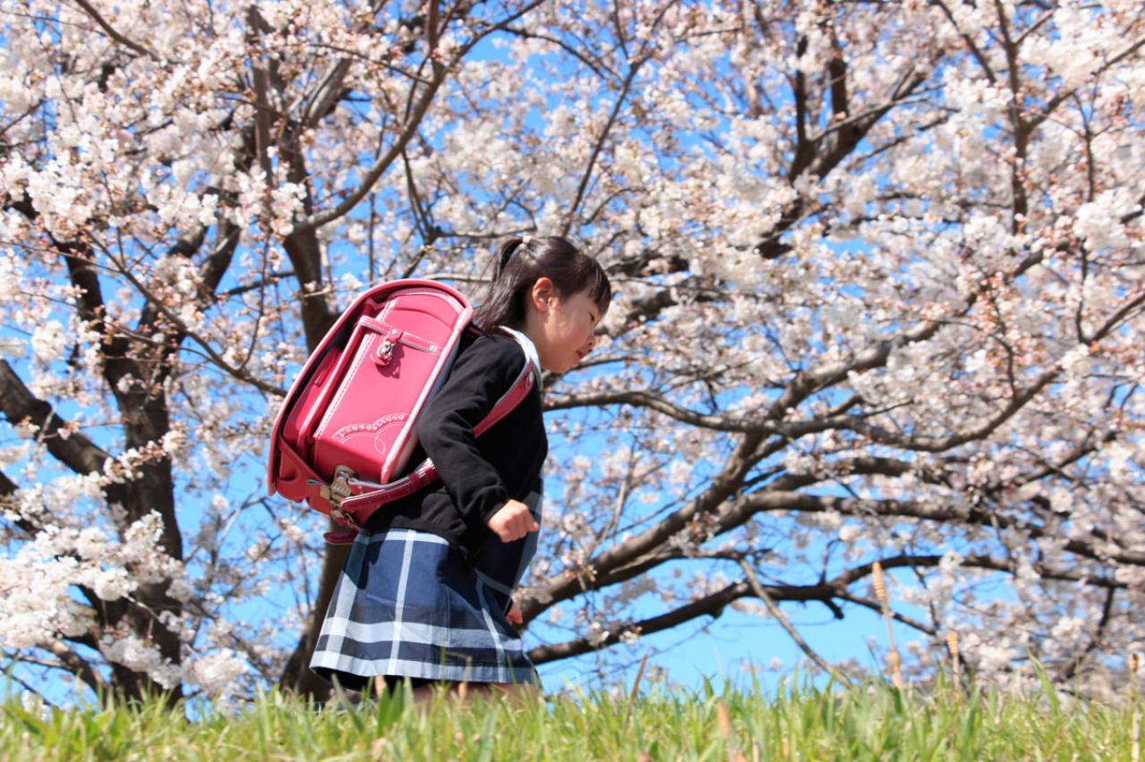 七五三、入学祝い、成人式【孫の成長を祝う行事】のしきたりと最近の傾向は？（画像3）