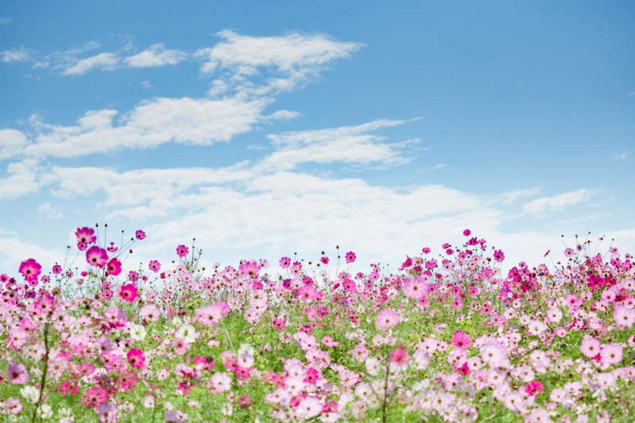 心のモヤモヤ、うつうつに、時田ひさ子さんの提案「これをすればラクになる」自分なりの方法を集めて