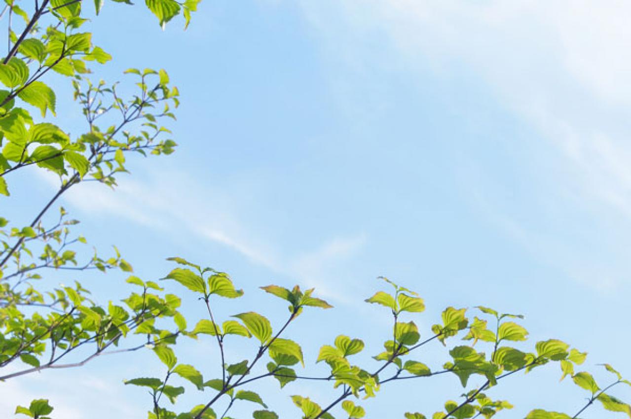 疲れがとれないのは、コロナブルーのせい？ 和田秀樹先生に聞く、【withコロナ時代を上手に生き抜く】６つの秘訣と３Sとは（画像2）