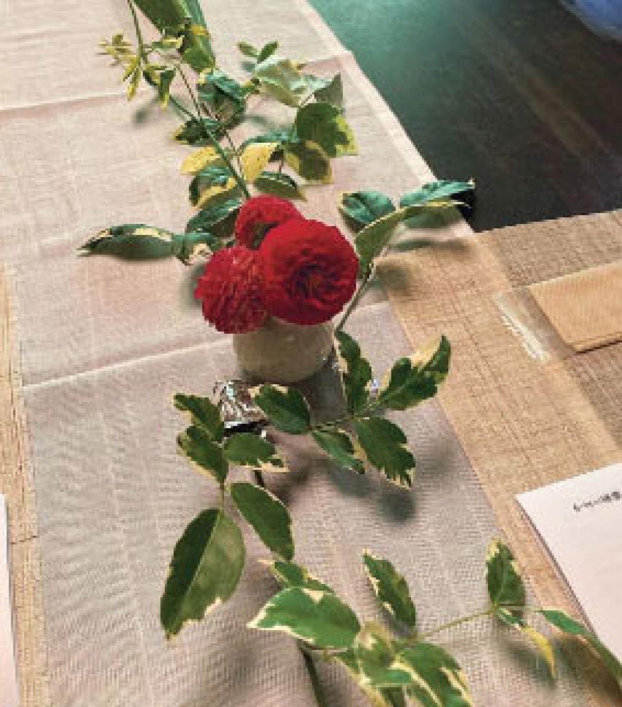 81歳の食養料理研究家 オオニシ恭子さんのすすめ。ひとり暮らしは健康第一！ その人に合った食材で体を調える「やまと薬膳」を（画像4）