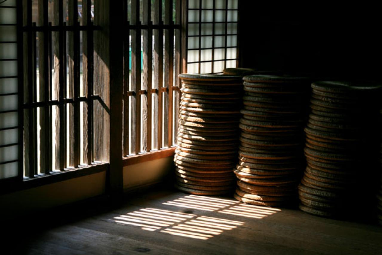 【猫の実話】人見知りだった猫ほど、一度心を開くと、とことん信用し愛してくれる（画像2）