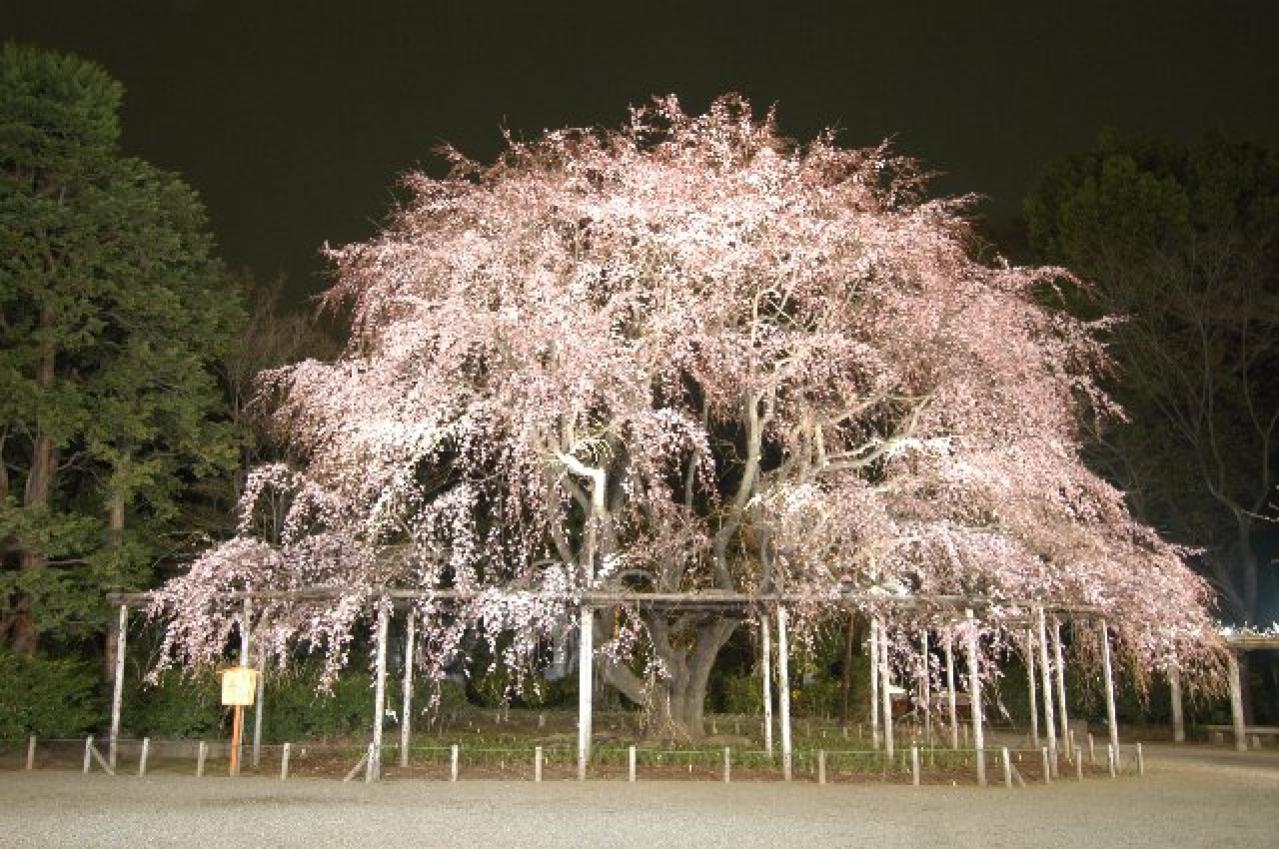 いちど始めたらやめられない【女ひとり旅】　50代から初めてのひとり旅におすすめなのは？（画像5）