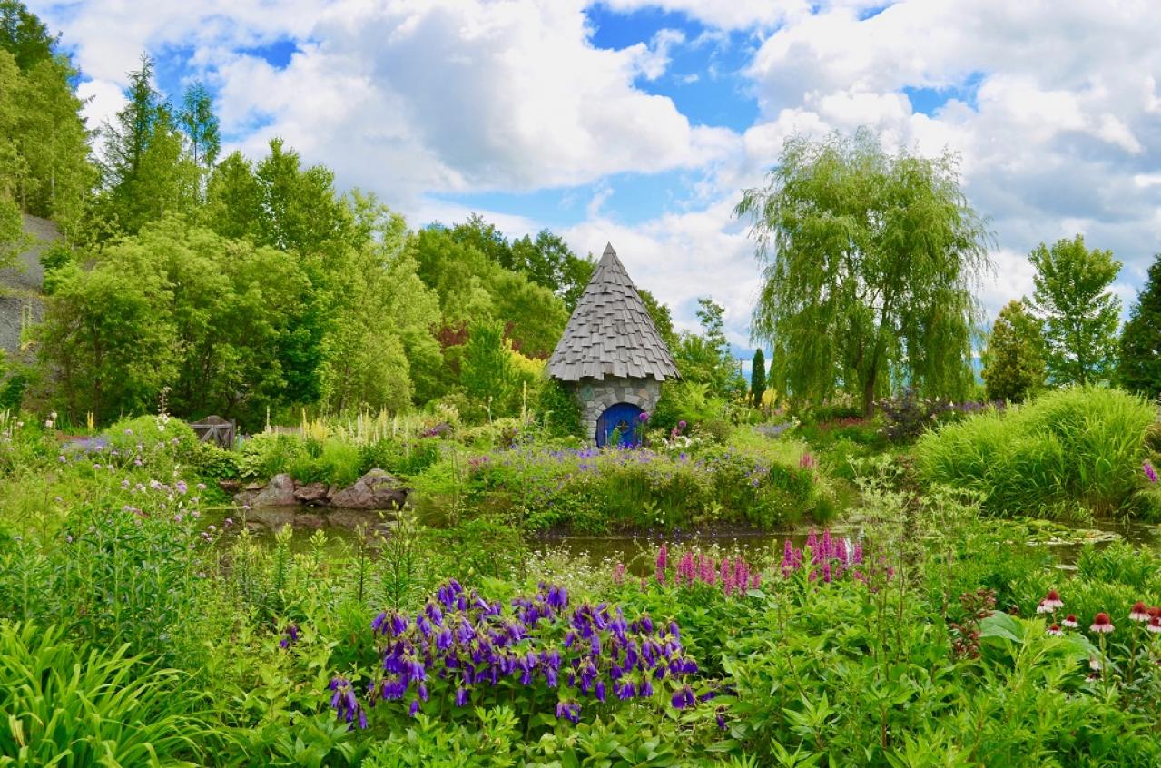 50代からの【女ひとり旅】を楽しむためのコツとは？　ひとり旅の人気ツアーも発表！　自分のごほうびになる旅を
