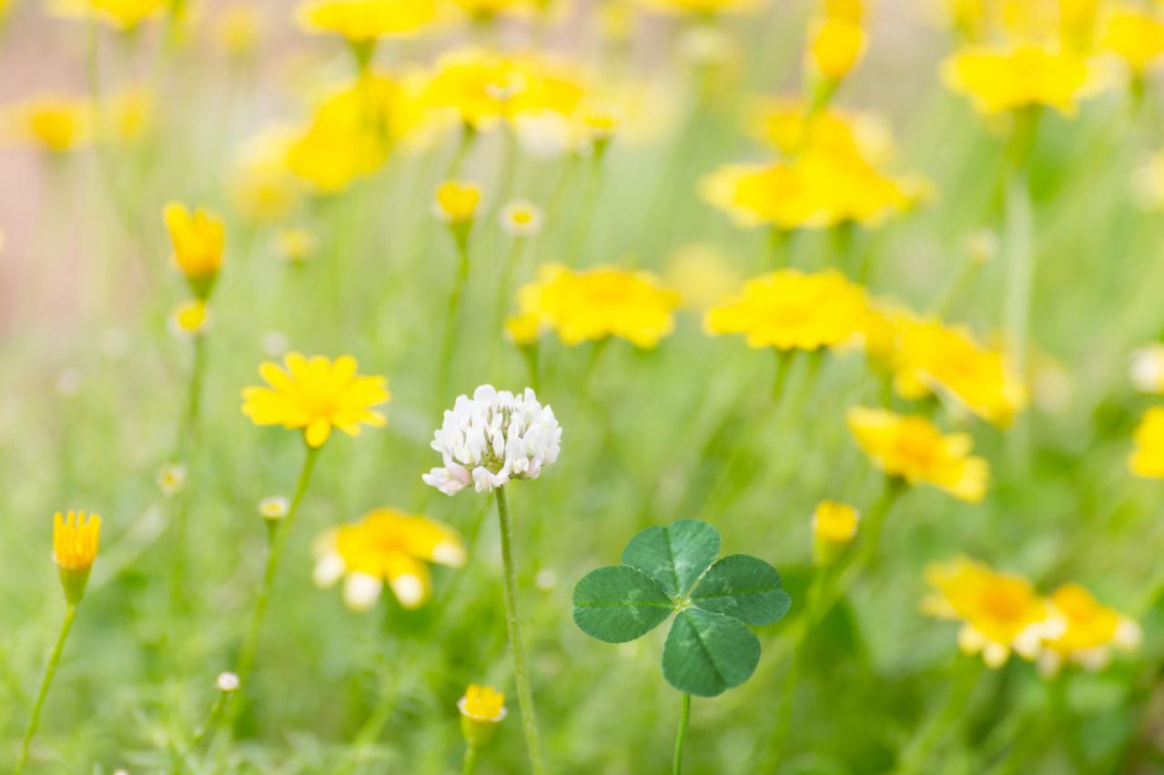 いらいら、モヤモヤしている人に。玉置妙憂さんの提案「あなたの人生を幸せな物語にできるのは、あなただけです」