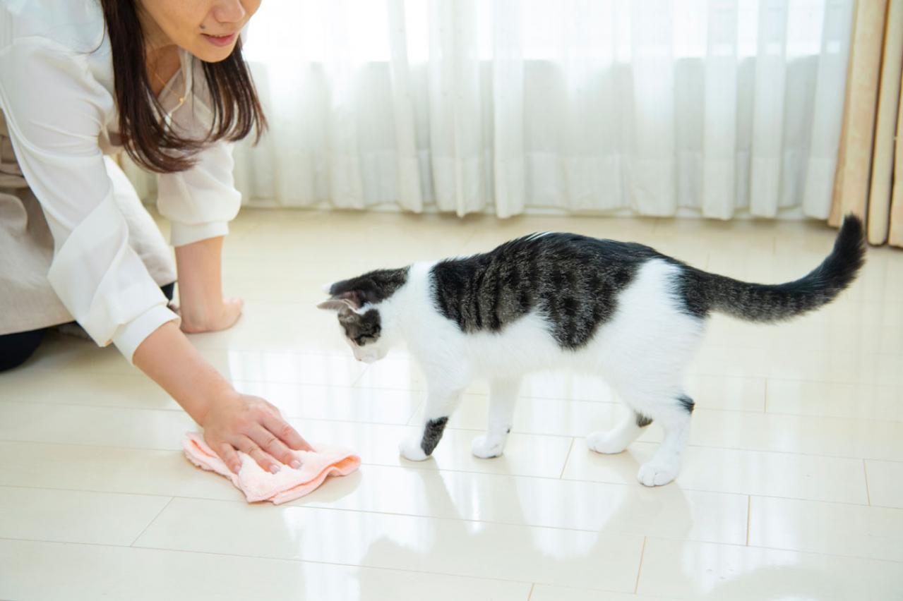 手抜きOK！重曹やクエン酸など【ナチュラル洗剤】でラクラク掃除のコツとは？