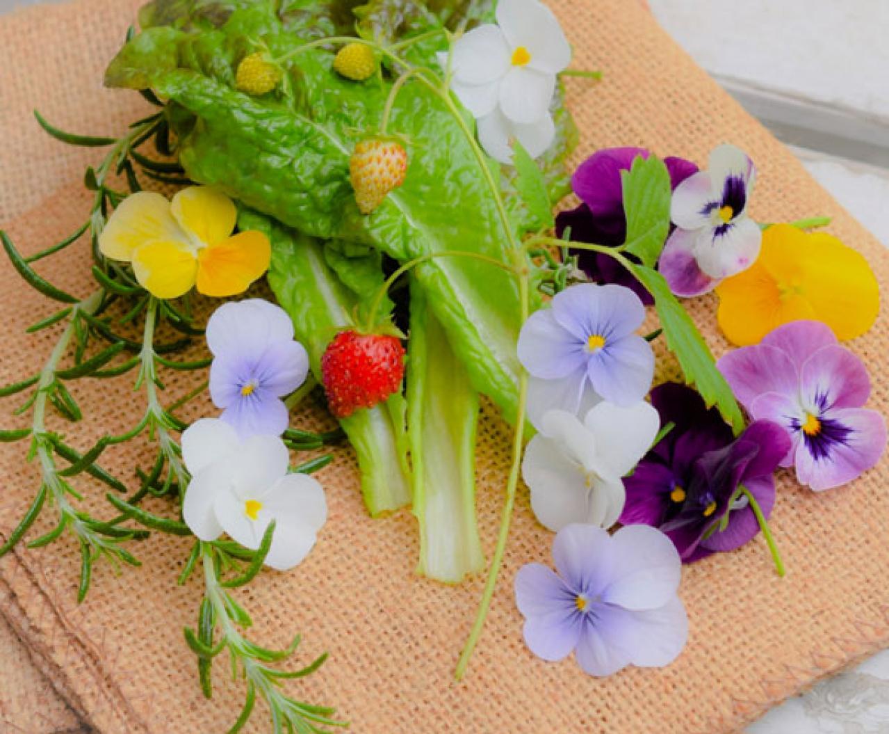 【ガーデニング】寒さの中で咲き続けるパンジー＆ビオラ  春には大株に！（画像8）