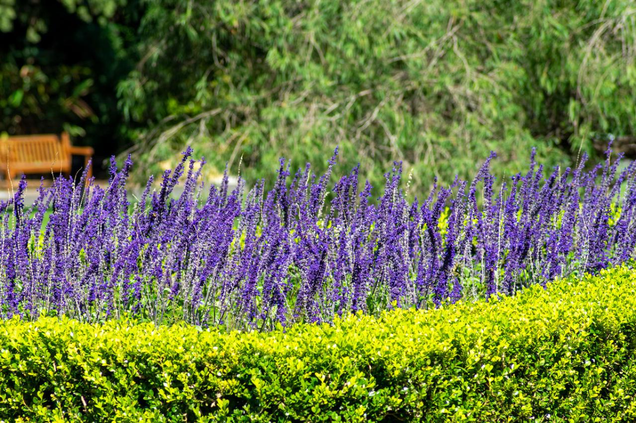 朝ドラ【舞いあがれ！】なぜ柏木（目黒蓮）に貴司の短歌を聞かせる？　舞ちゃんの恋愛は正直、疑問符だらけ