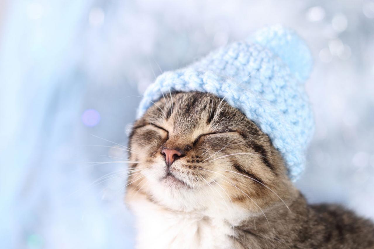 知ってる？「ストレス冷え」に効果的な「呼吸法」【温活】