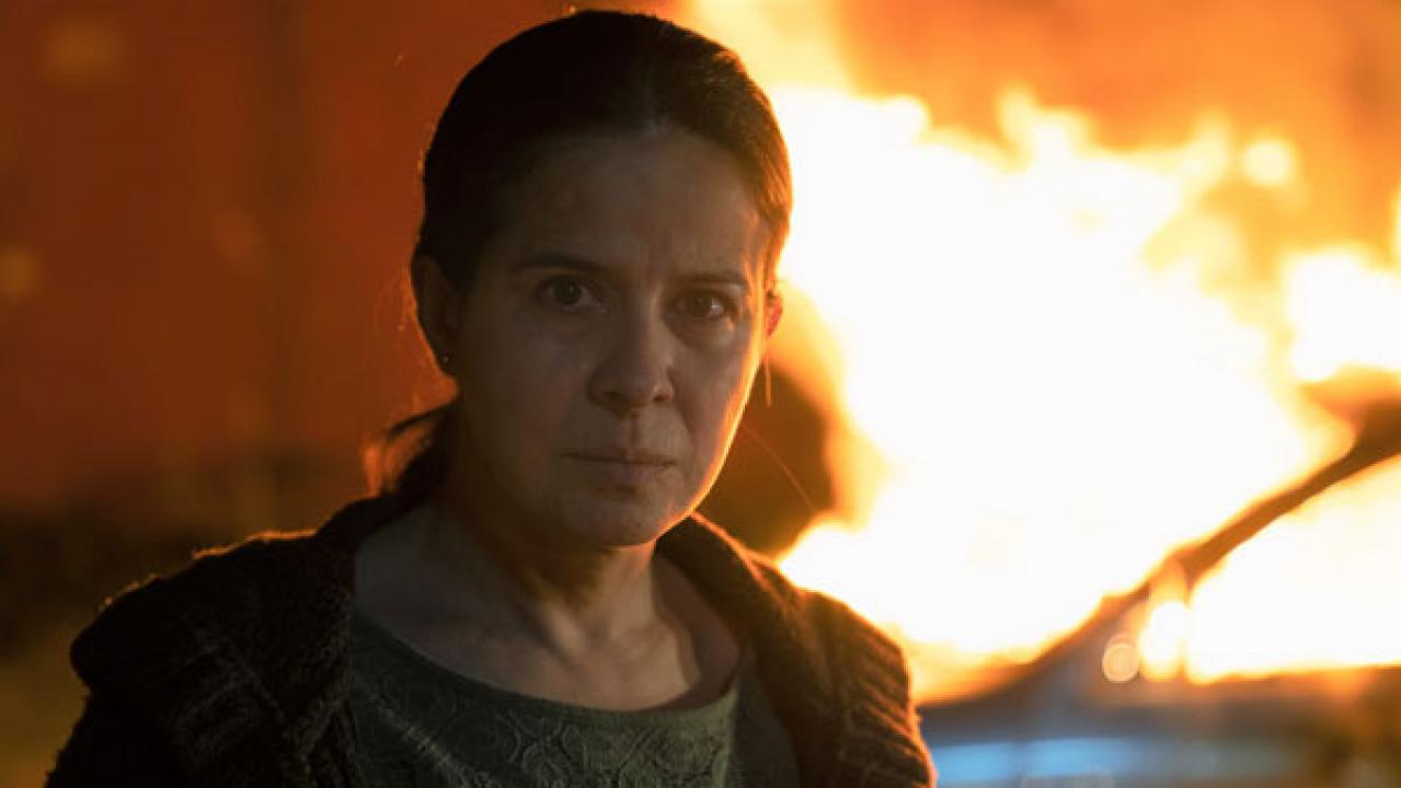 【中野翠のCINEMAコラム】 誘拐された娘を取り戻す!  犯罪組織に挑む『母の聖戦』（画像2）