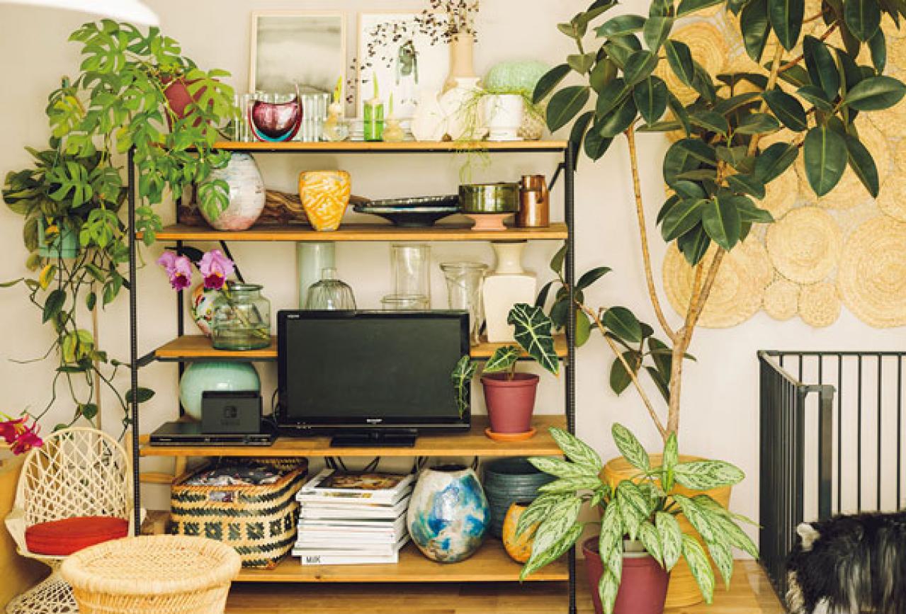 中目黒のフラワーショップ farver オーナーの自宅。「ジグザグに植物を配置する」と、こんなにすてき！（画像8）