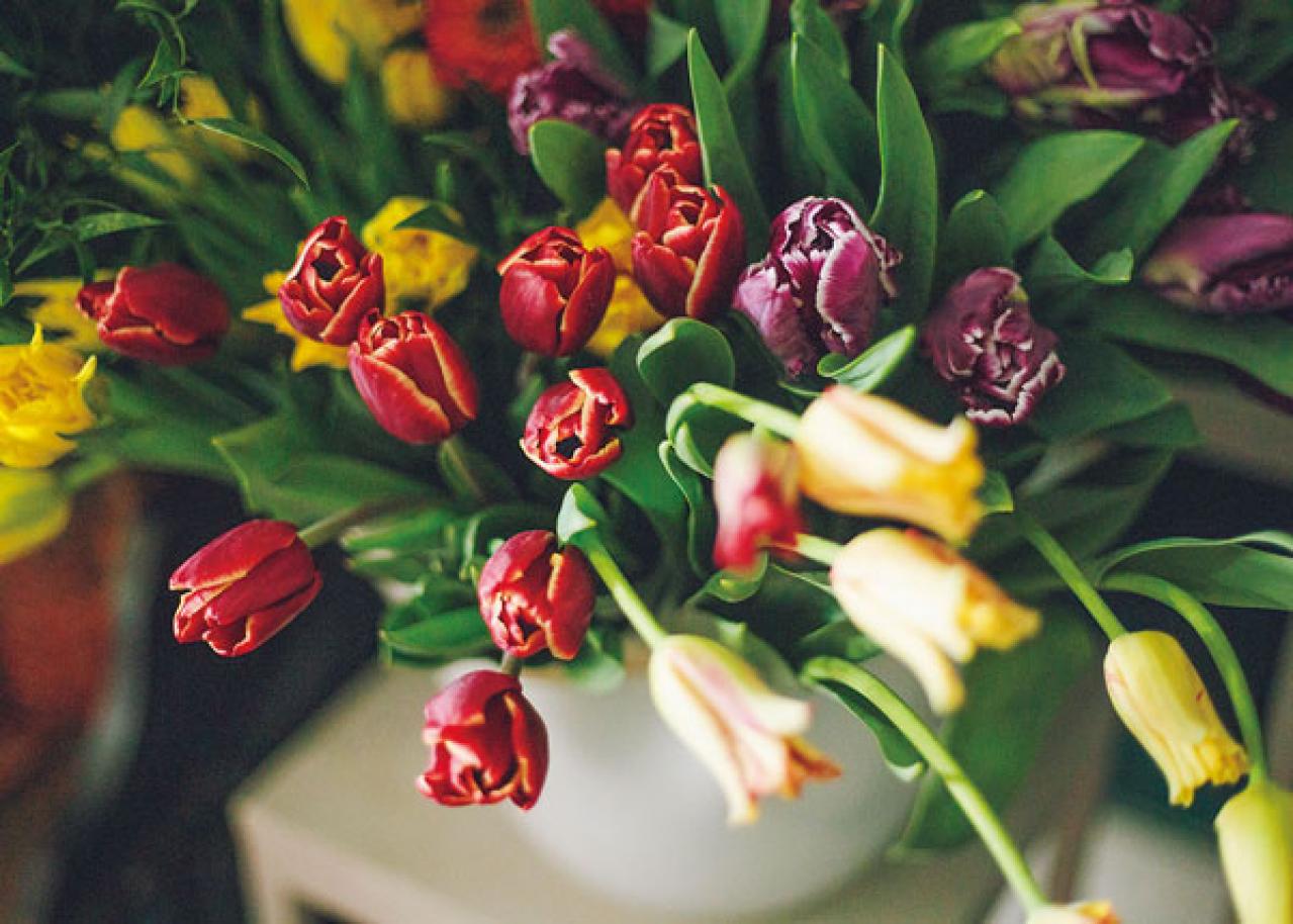 中目黒のフラワーショップ farver オーナーの自宅。「ジグザグに植物を配置する」と、こんなにすてき！（画像5）