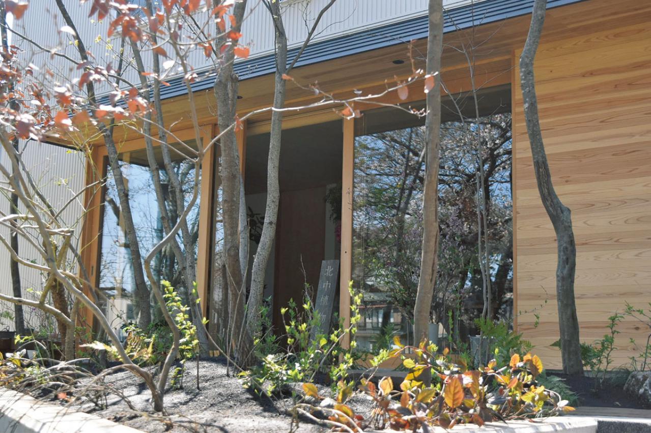 話題のアトリエ「北中植物商店」オーナー夫妻の自宅。暮らしに寄り添う花の飾り方（画像12）