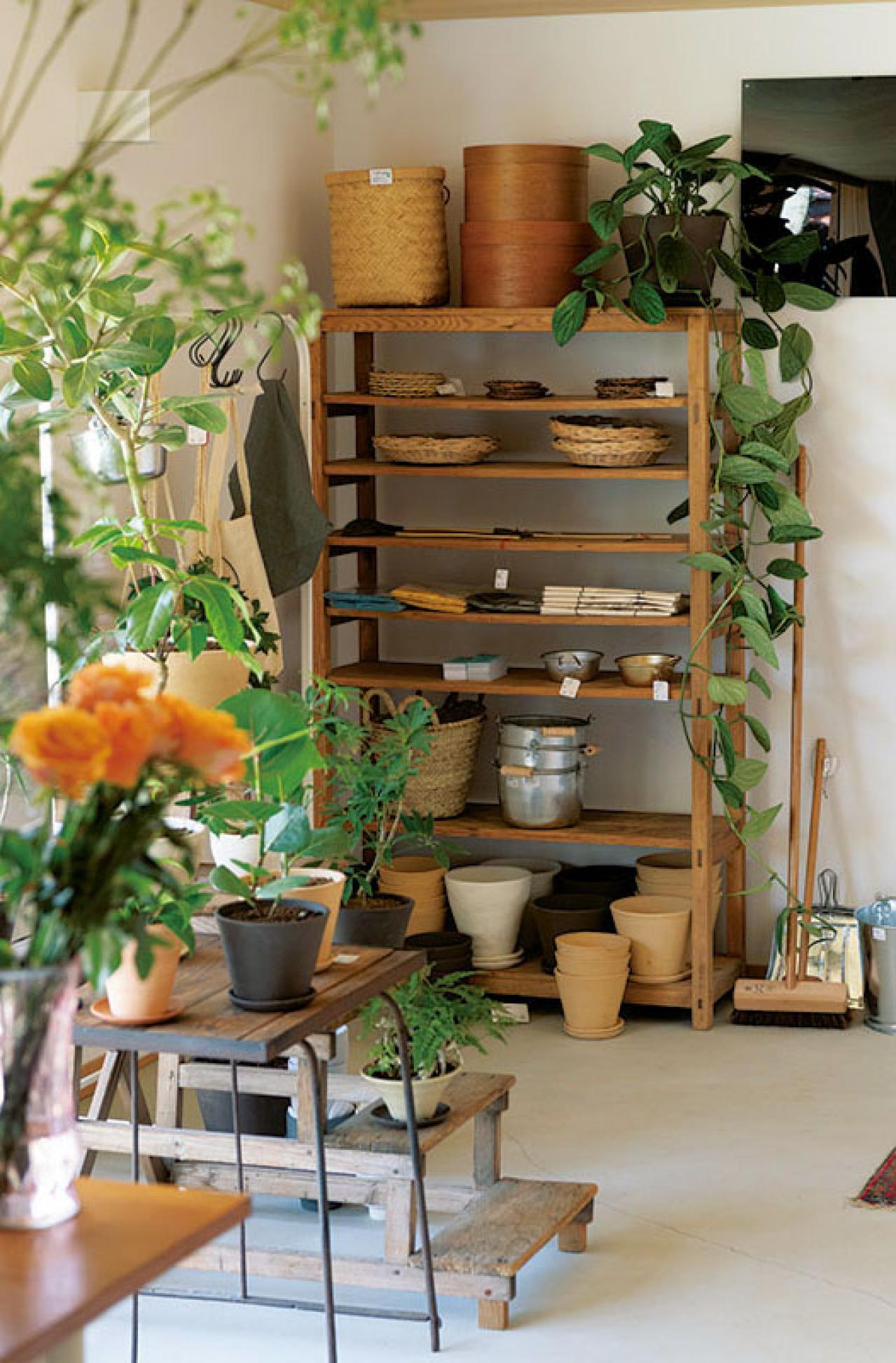 北中植物商店オーナー夫妻の自宅。散る間際の花の飾り方とは？「朽ちてしまっても花は楽しめます」（画像8）