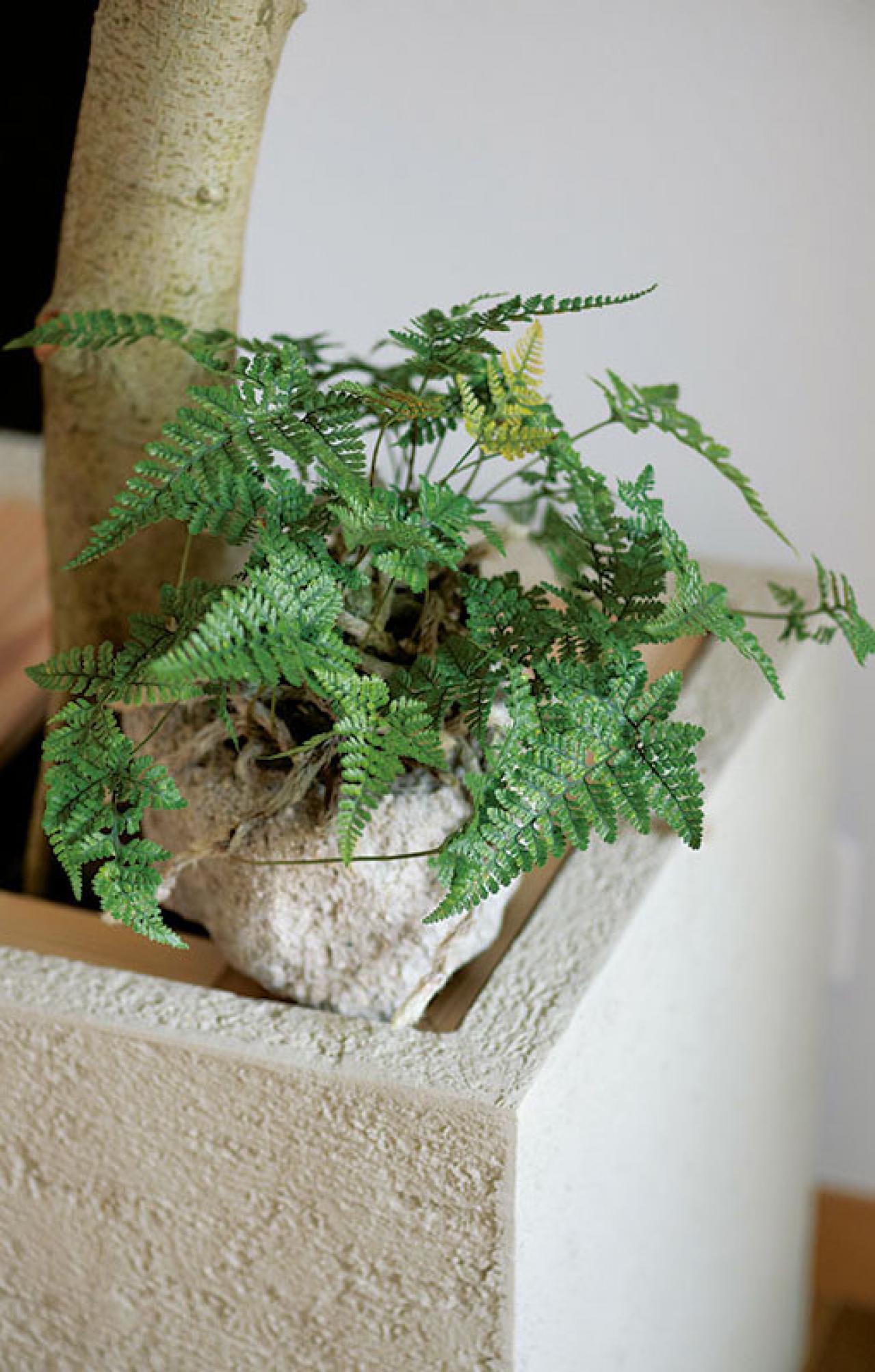 話題のアトリエ「北中植物商店」オーナー夫妻の自宅。暮らしに寄り添う花の飾り方（画像17）