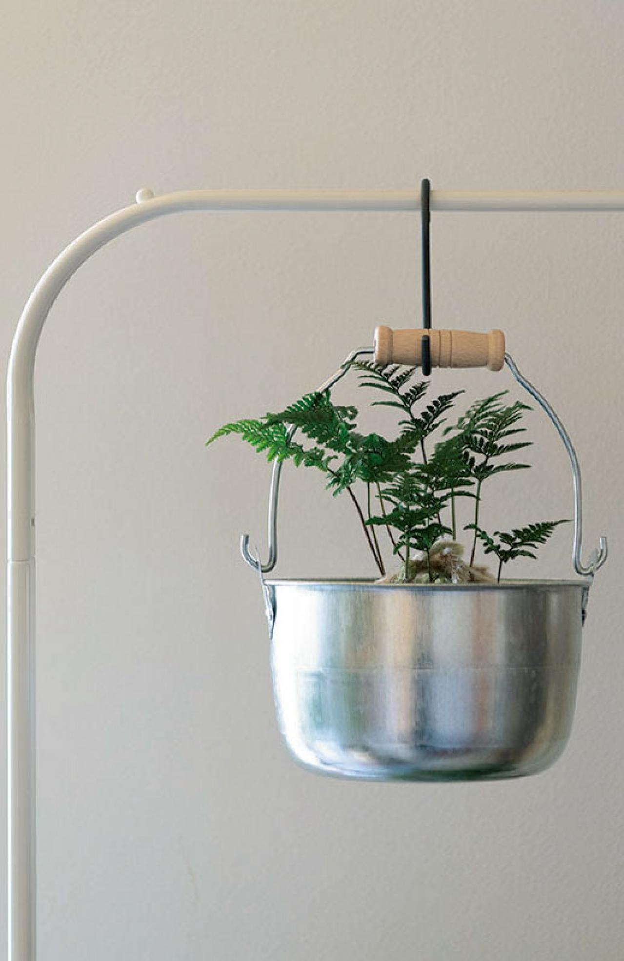 北中植物商店オーナー夫妻の自宅。散る間際の花の飾り方とは？「朽ちてしまっても花は楽しめます」（画像5）