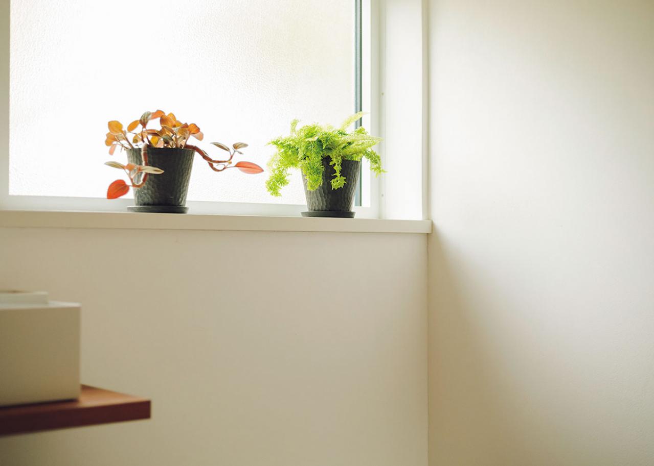 植物と暮らす幸福感ってこんな感じ！　人気インスタグラマーの「光と土を大切にした」インテリア（画像14）