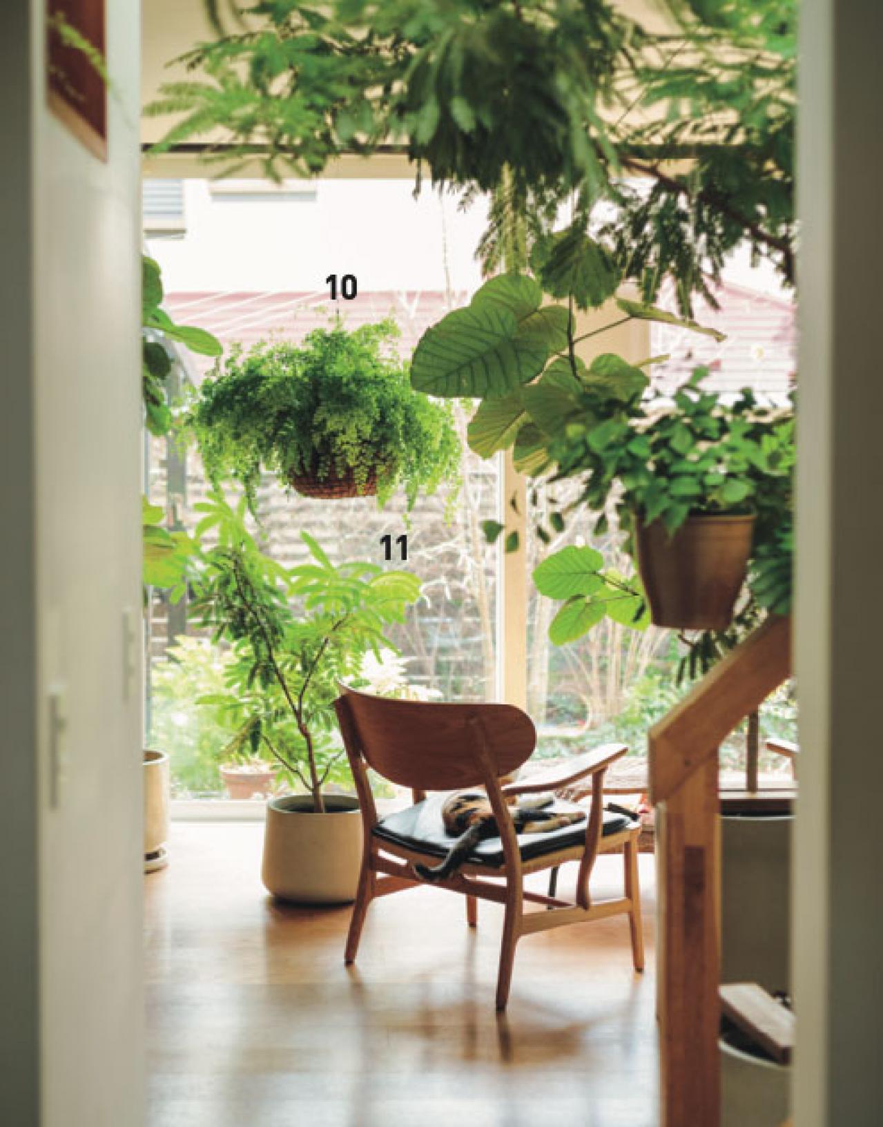 植物と暮らす幸福感ってこんな感じ！　人気インスタグラマーの「光と土を大切にした」インテリア（画像6）