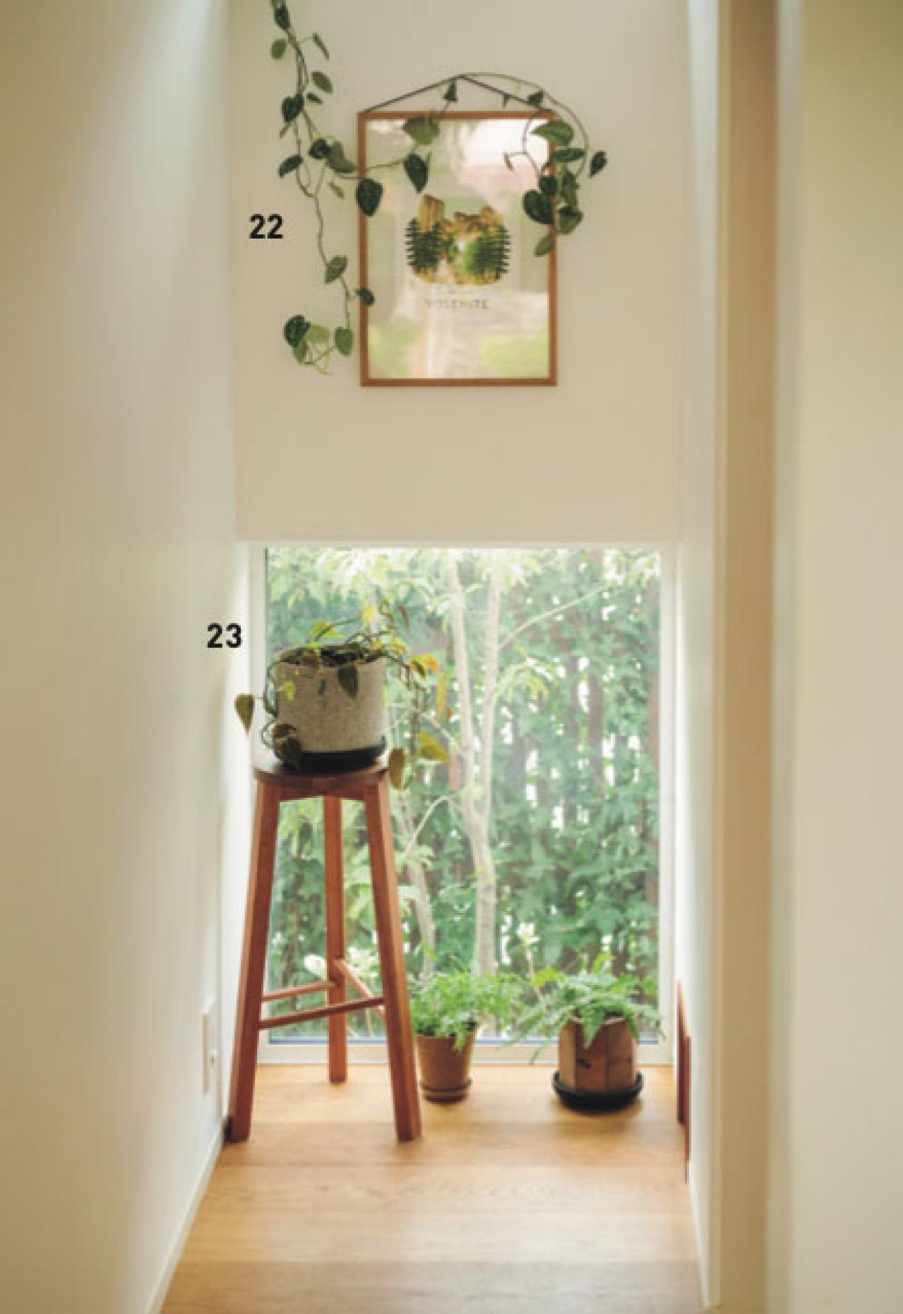 植物と暮らす幸福感ってこんな感じ！　人気インスタグラマーの「光と土を大切にした」インテリア（画像12）