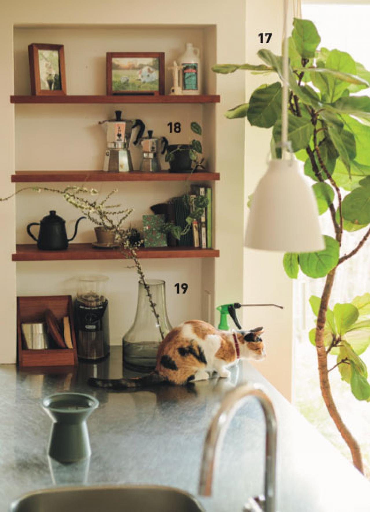 植物と暮らす幸福感ってこんな感じ！　人気インスタグラマーの「光と土を大切にした」インテリア（画像9）