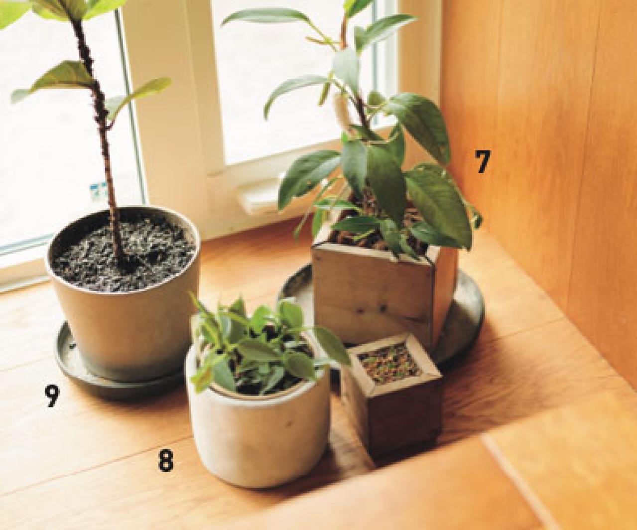 植物と暮らす幸福感ってこんな感じ！　人気インスタグラマーの「光と土を大切にした」インテリア（画像5）