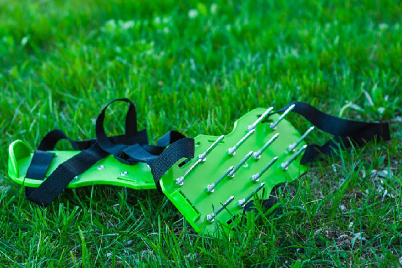 【ガーデニング】冬の土づくりで、きれいな花を咲かせよう！カチカチの土をふかふかに（画像5）