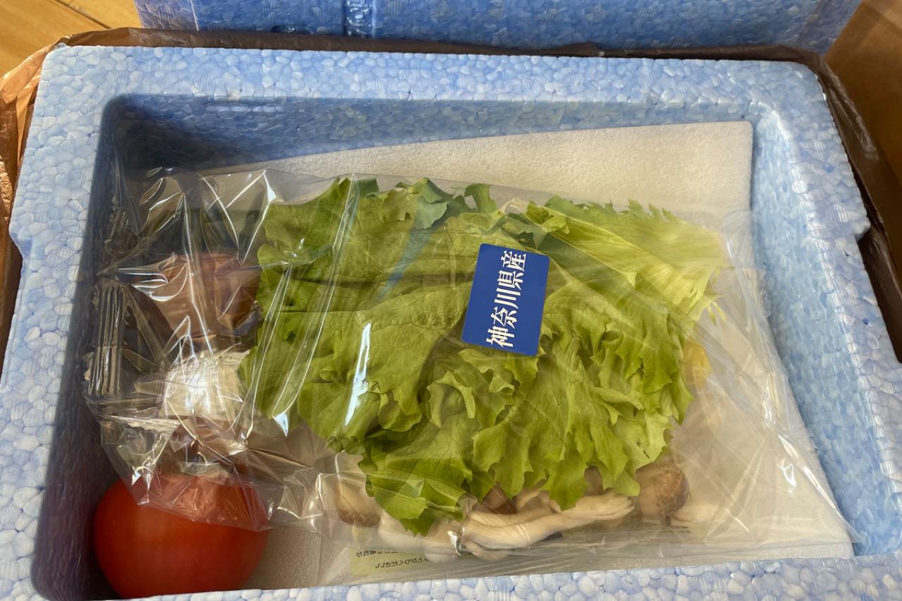 【ヨシケイのミールキット、食べてみた】献立を考えなくていいのと買い物がラク。カット野菜と卵がとっても新鮮！