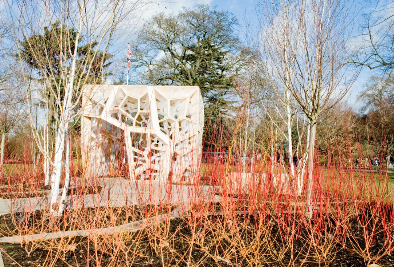 【イギリス流】ガーデナーの冬の楽しみ方。ウィンターガーデンとアフタヌーンティーの魅力（画像4）