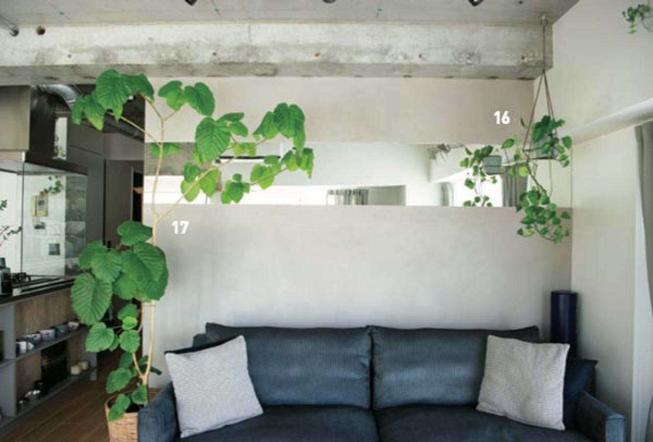 中古マンションをグリーンファーストでフルリノベ。「植物は一代で終わらせない」室内インテリア【mi*さん】（画像7）