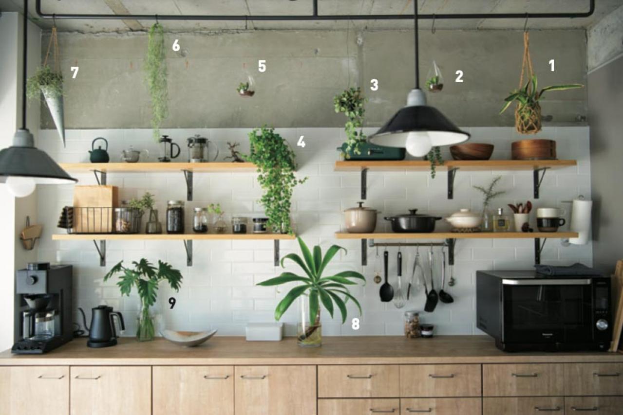 グリーンが映える家づくり【実例】中古マンションをフルリノベ。無機質な壁と観葉植物でスタイリッシュに（画像3）